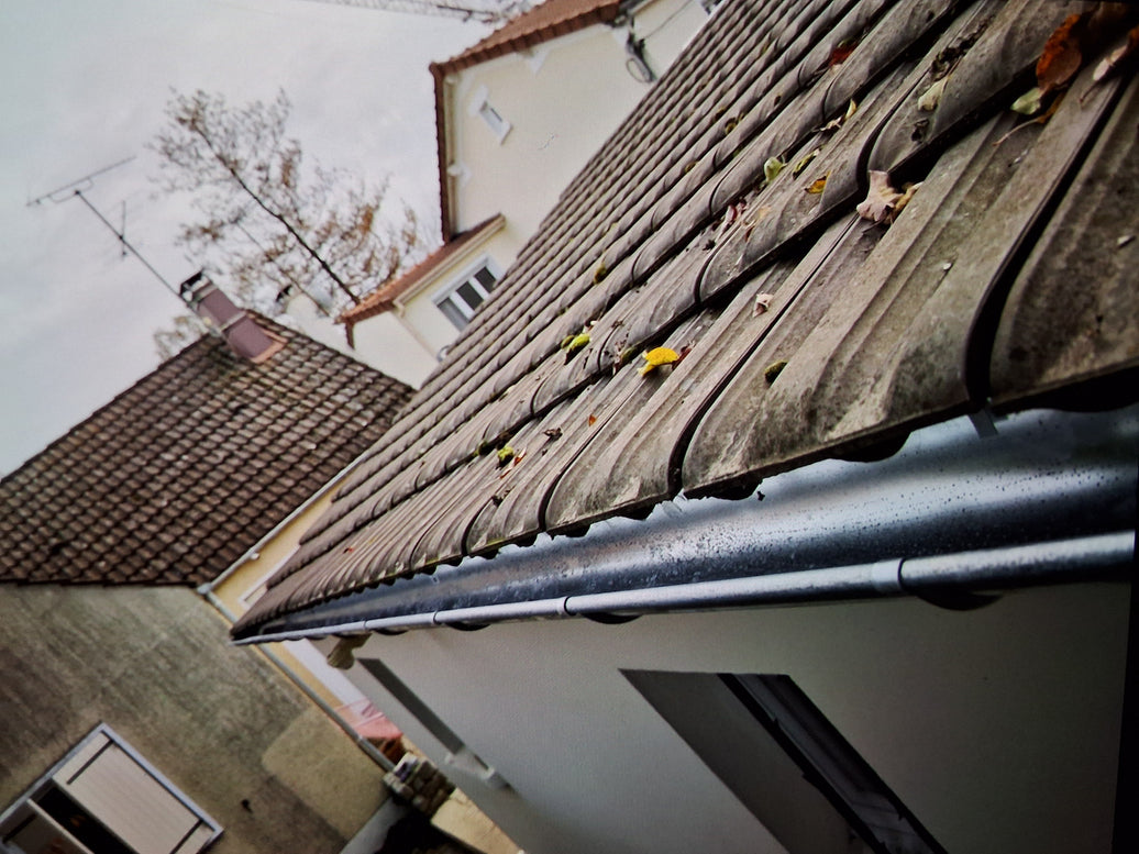 Gouttière zinc à Neuilly-Plaisance (93360)